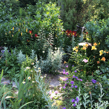 Garden Closeups from EDLA Designs
