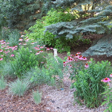 Whimsical Oasis