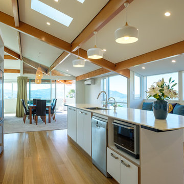 Dunedin Renovation