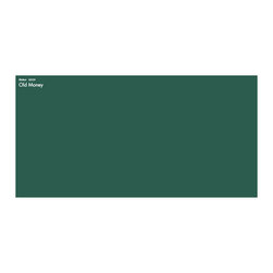 Dulux Old Money - Paint