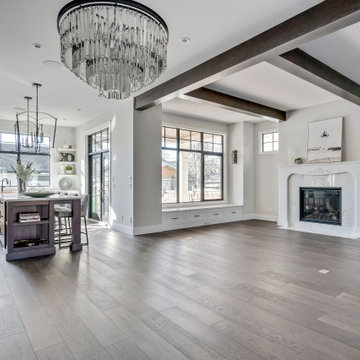 Show Stopping 2 Storey Home in Parkdale, Calgary