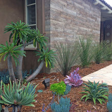 Landscaping Mandy