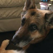 Angela Schumaker's photo
