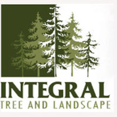 Integral Tree and Landscape