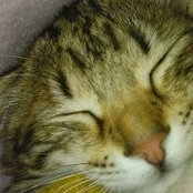 Joanne Bondin's photo