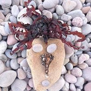 Stone Inspired Ltd's photo