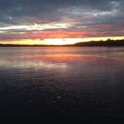 Diane Smith's photo