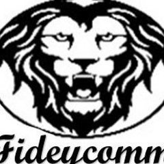 Fideycomm LLC.