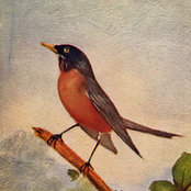 Robin Beiermeister's photo