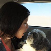 Emily Lo's photo