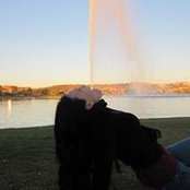 Lisa Dirks's photo