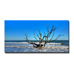 Ready2HangArt - "Fortitude" Canvas Art By Bruce Bain, 20"x40" - Prints And Posters