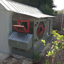 Chicken Coops