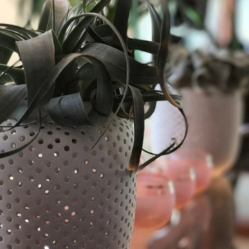 Interior Plantscapes & Design