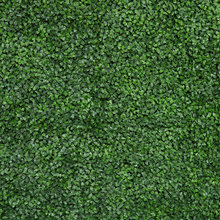 Green Wall
