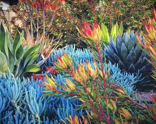 Maritimer Garten - Ideen für die Gartengestaltung