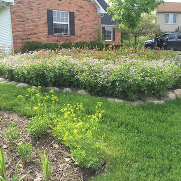 Native Perennial Gardens