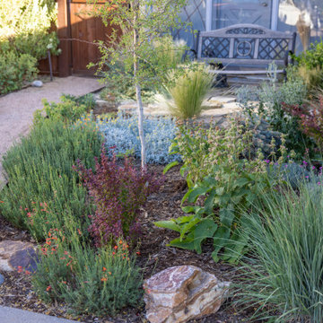 Pollinator Paradise