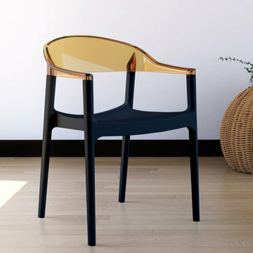 Clear Lucite Acrylic Dining Chairs