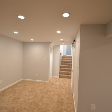 Basement Renovation