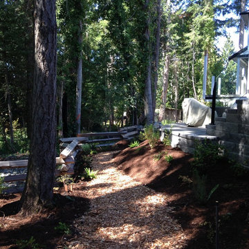 Renaturalisation of a backyard