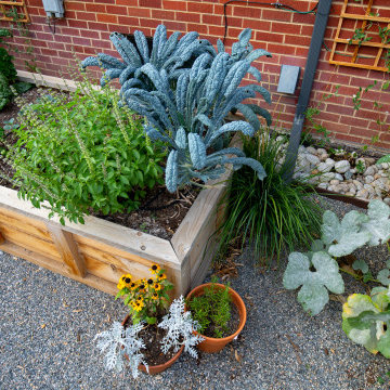 Pollinator, Edible + Native Landscapes In The City