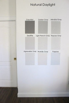Is There A Sw Paint That Is Comparable To Agreeable Gray But Lighter