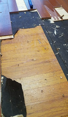 Removing Suloor Staples Trying To, Staple Puller For Hardwood Floors
