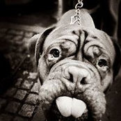 Camille Dewing-Vallejo's photo