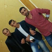 Mahmoud Amer's photo