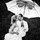 phil_swartz