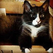 Jenn Phillips's photo