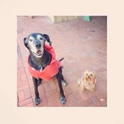 Kendra Taylor's photo