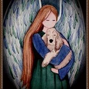 Amy Cox's photo