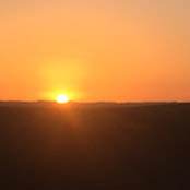 Sue Cameron's photo