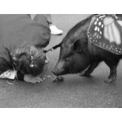 Michele Harper's photo