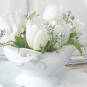 Susan Millstead's photo