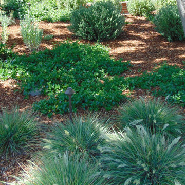 Shah & Pathak 2025 Front Yard