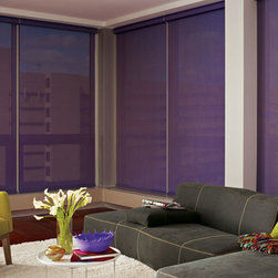 Hunter Douglas Designer Screen Shades - Window Blinds