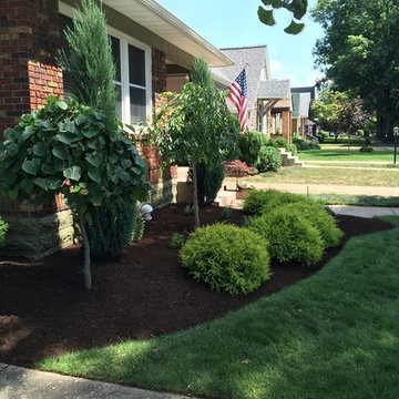 Landscaping