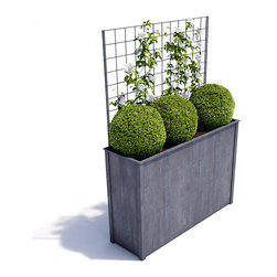 Steel Trough with Trellis - Outdoor Plant Pots & Planters