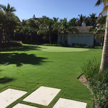 Latitude 36 Bermuda Grass