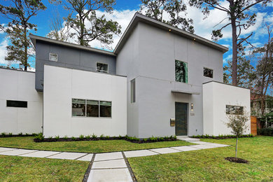 Home design - modern home design idea in Houston