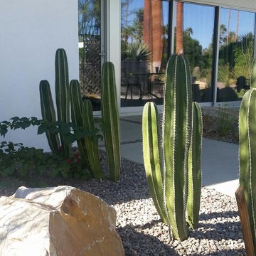 palm springs chill