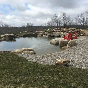 Swim Pond