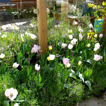 courtyard garden