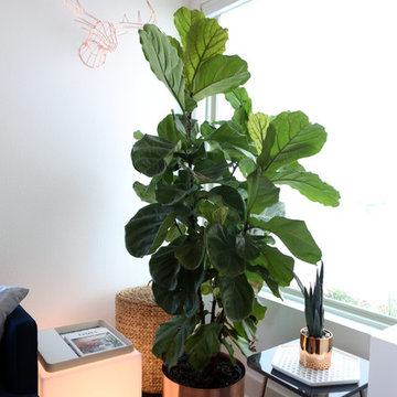 Sneak Peek: Fiddle Fig Copper Styling