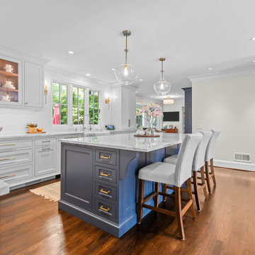 Peachtree Corners Main Level Renovation