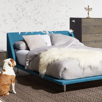 2015 Blu Dot Modern Spring Furniture Catalog