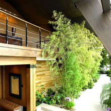 Casa 49
